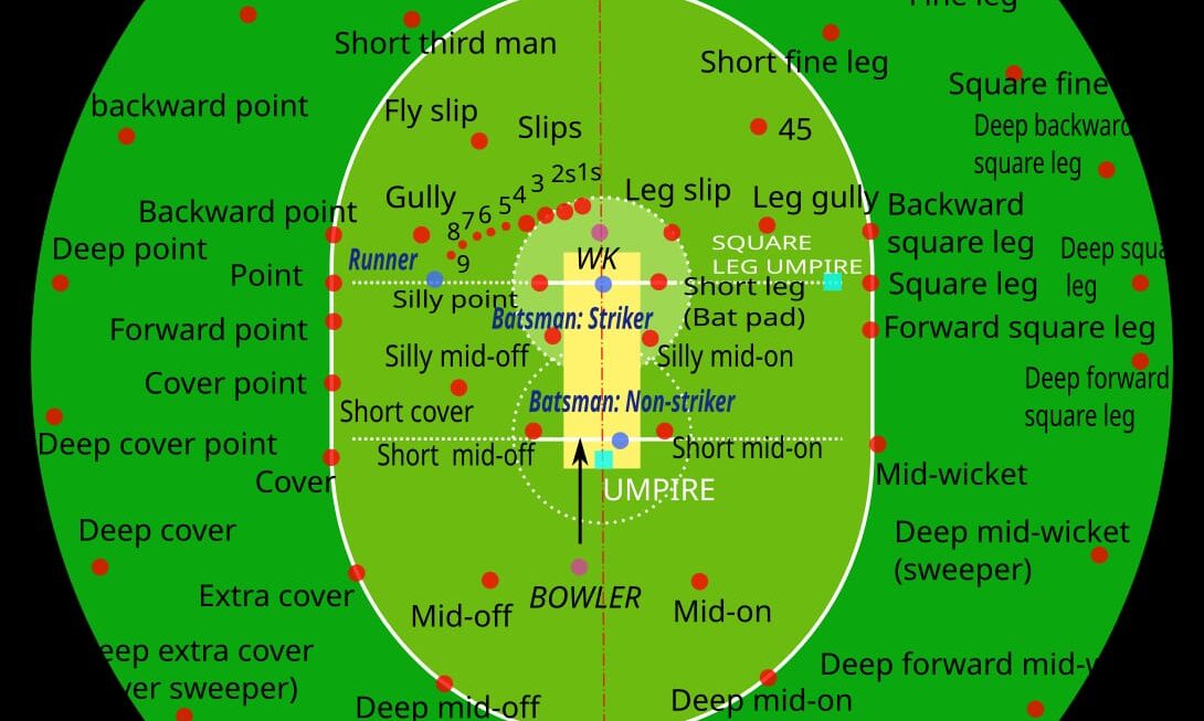Diagram showing standard cricket fielding positions
