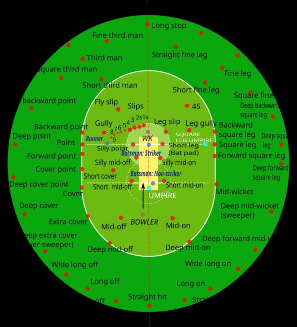 Don’t Call Yourself a True Cricket Fan If You Don’t Know These Fielding Positions